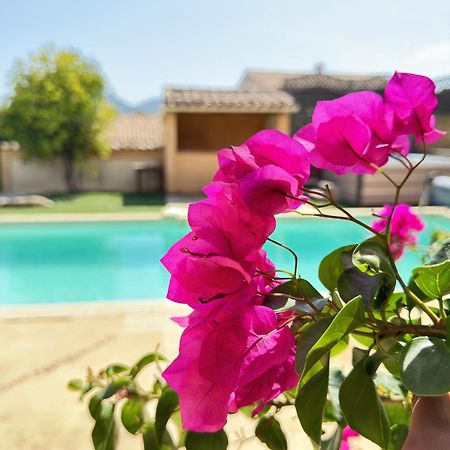 2 Hebergements - 10 Couchages - Parking, Piscine, Jacuzzi - Convivialite Roquebrune-sur Argens Kültér fotó