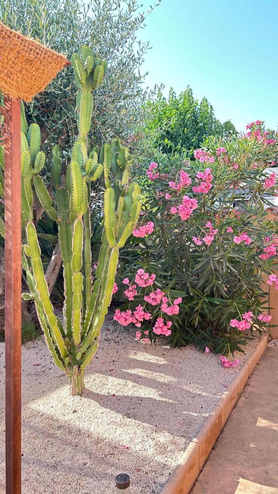 2 Hebergements - 10 Couchages - Parking, Piscine, Jacuzzi - Convivialite Roquebrune-sur Argens Kültér fotó