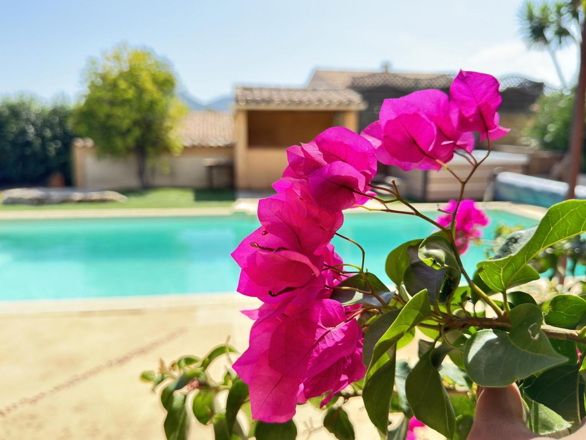 2 Hebergements - 10 Couchages - Parking, Piscine, Jacuzzi - Convivialite Roquebrune-sur Argens Kültér fotó